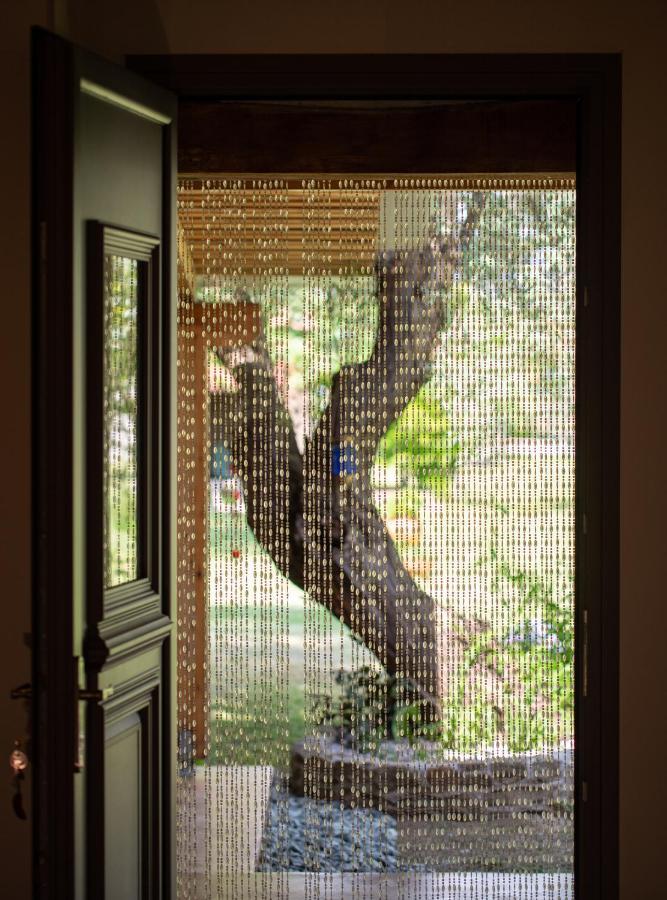 Villa Menie - Golden Fig Sykia Lodge Paralia Sikias 외부 사진